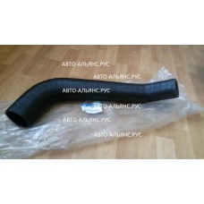 Патрубки тосольные D6AC/D6AB 65/75 L730  EX/SP/ HD Super AC-540 №1 верх.от радиат.термостатам