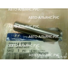 Направляющие клапанов D6BR/ D4A* впускные